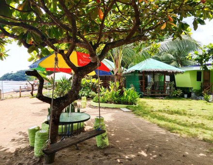 The swing under the tree