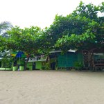 Family Cottage