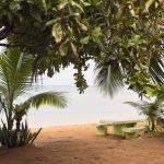 Tent Rental